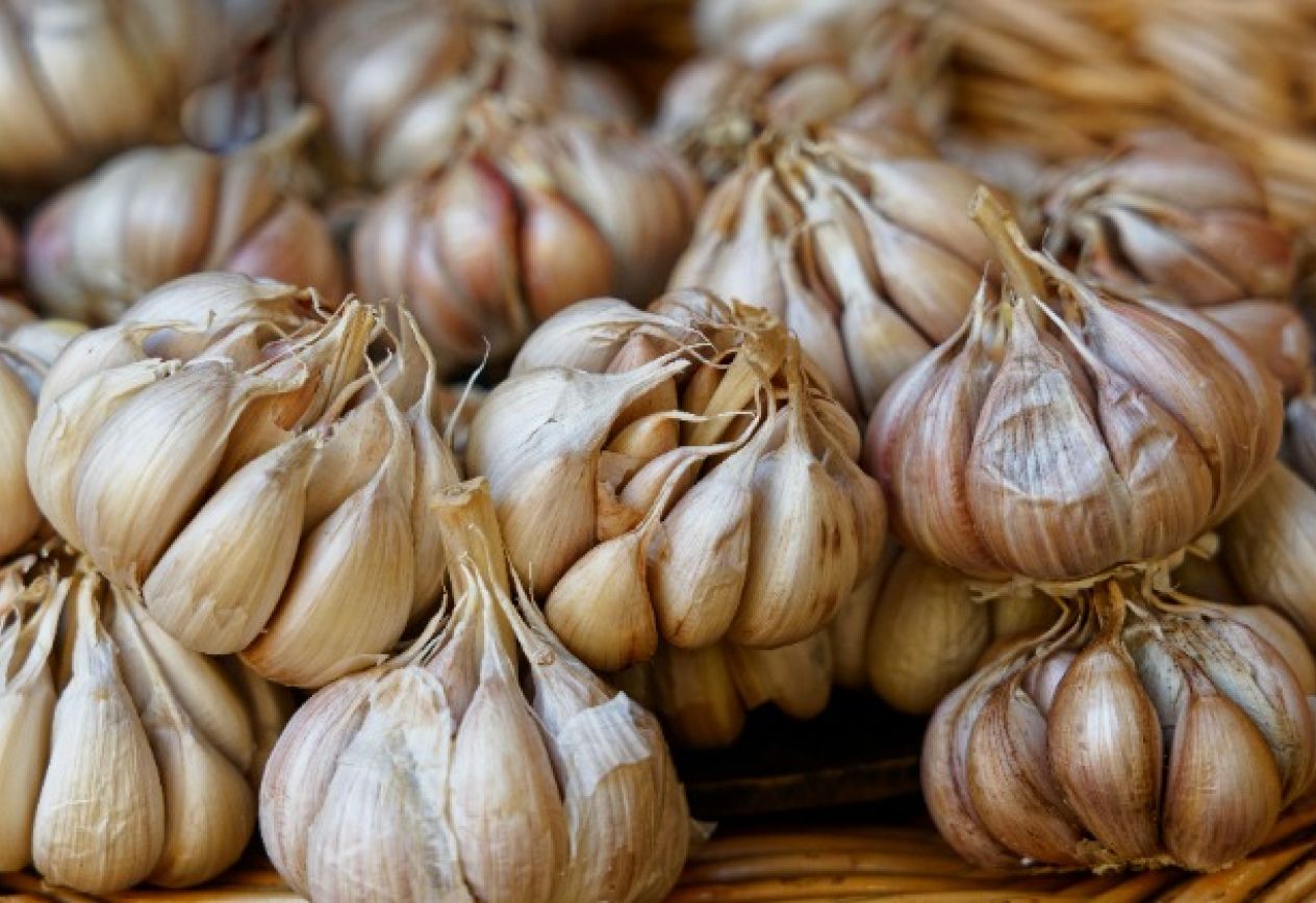 Garlic products cover